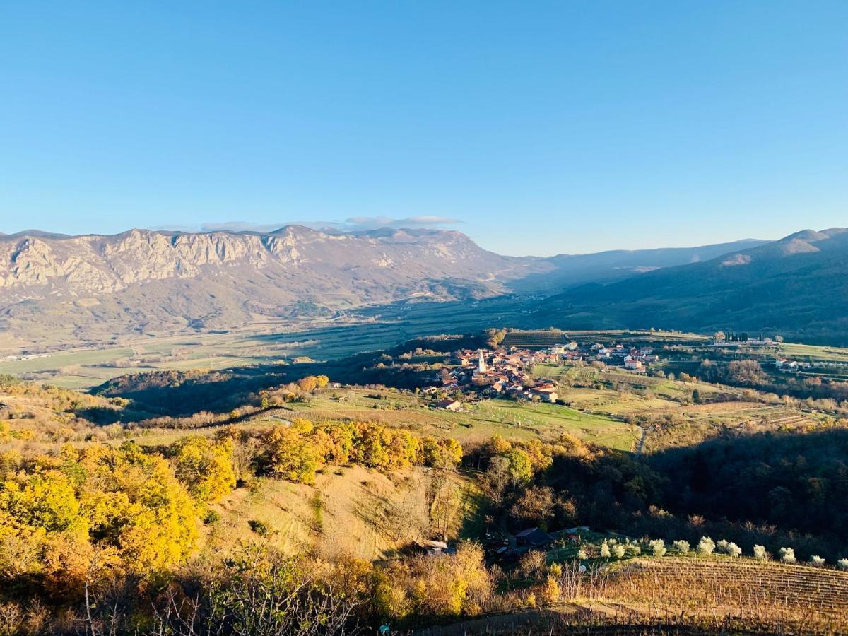Samson And The Lilo Appartement Vipava Buitenkant foto