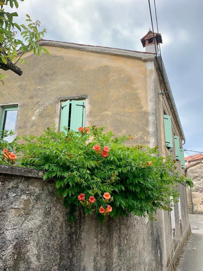 Samson And The Lilo Appartement Vipava Buitenkant foto