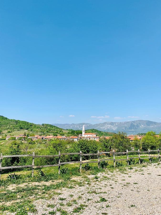 Samson And The Lilo Appartement Vipava Buitenkant foto